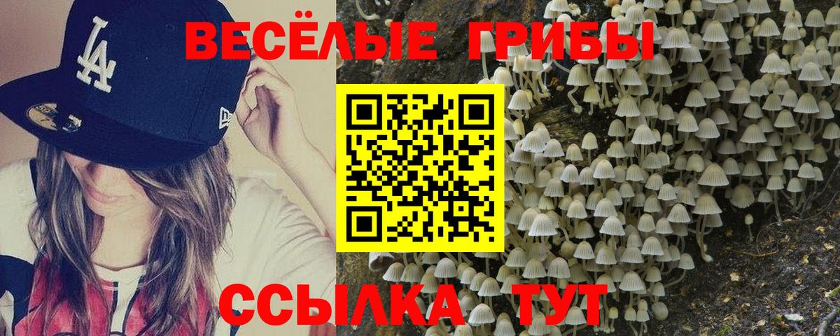 Галлюциногенные грибы мицелий Благовещенск