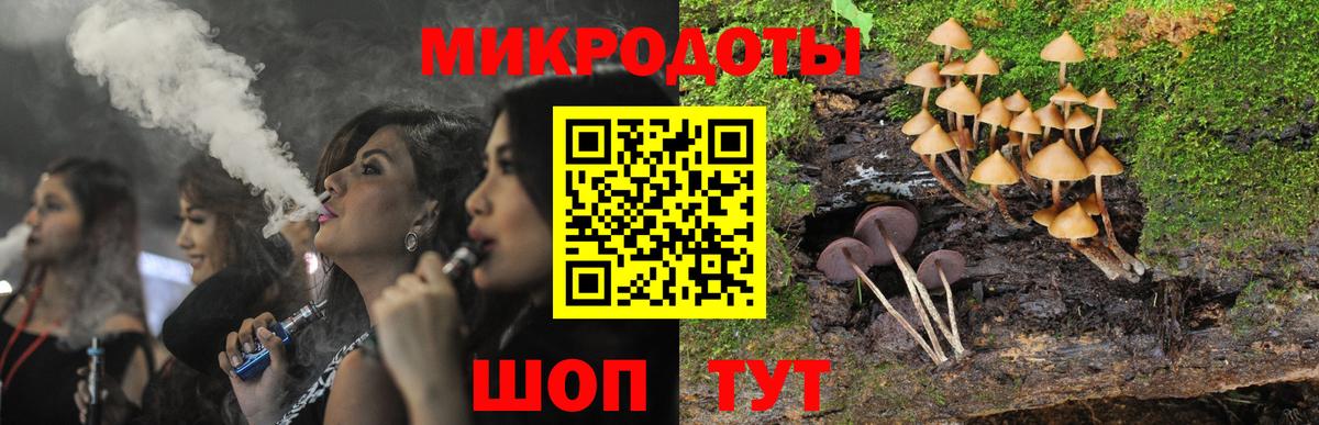 Псилоцибиновые грибы Psilocybe  Вход с VPN  Благовещенск 
